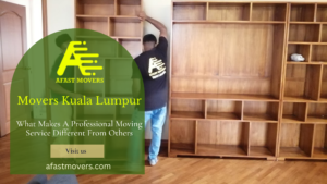 Read more about the article What Makes A Professional Moving Service Different From Others